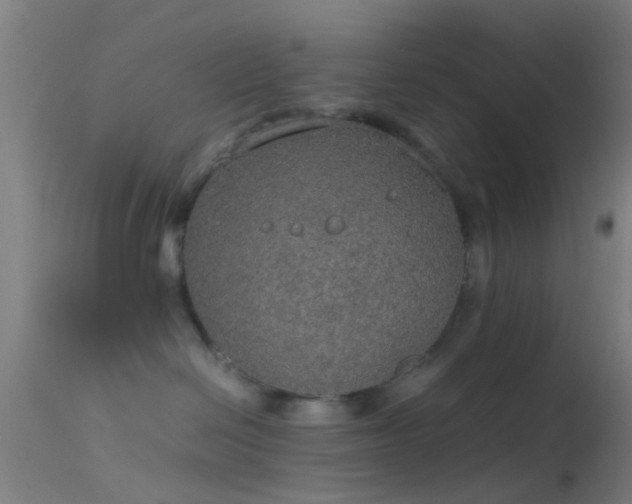 X0000114170286200910151644