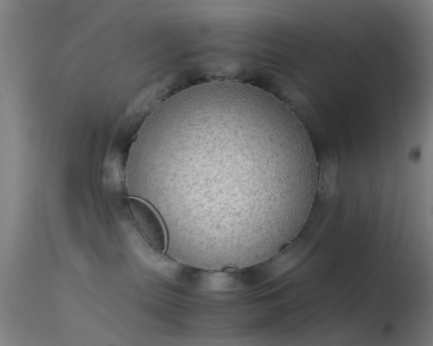 X0000114170287200910151644