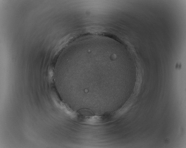 X0000114170288200910151644