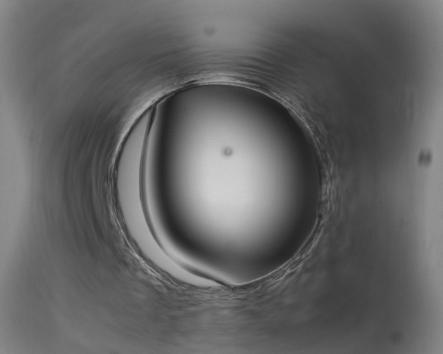 X0000114170289200910151643