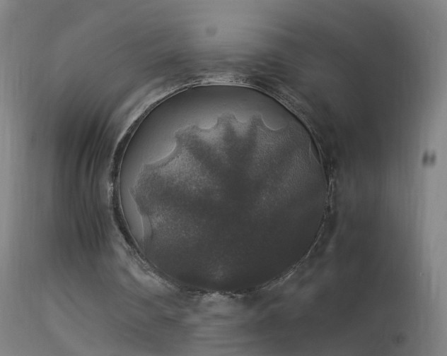 X0000114170290200910151643