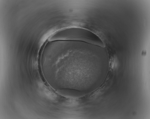 X0000114170292200910151643