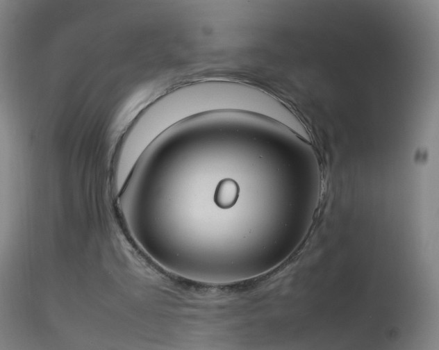 X0000114170293200910151643