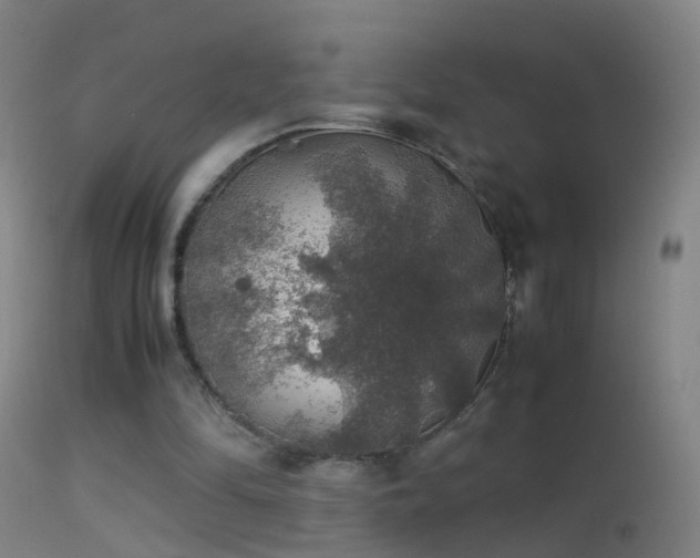 X0000114170294200910151643