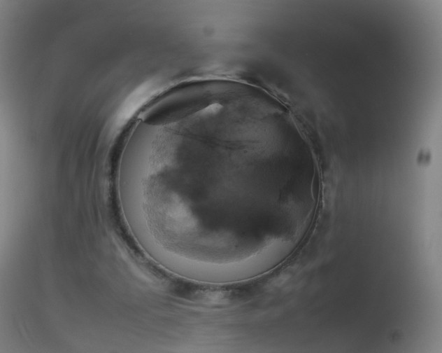 X0000114170295200910151643