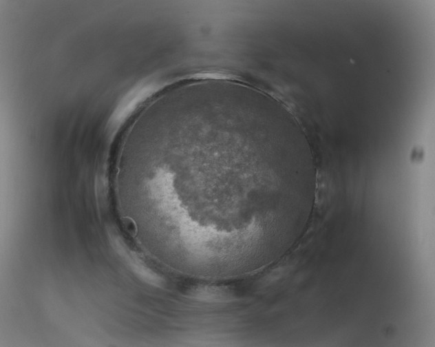 X0000114170296200910151643