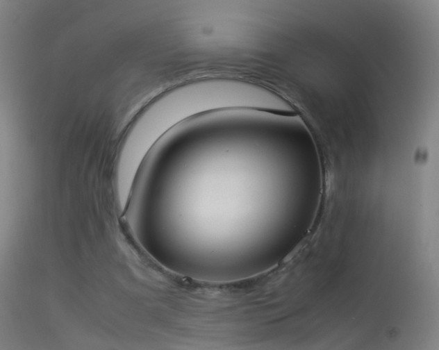 X0000114170297200910151643