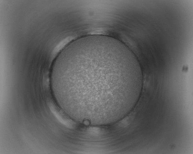 X0000114170298200910151643