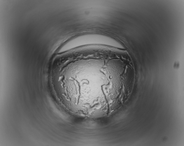 X0000114170299200910151643