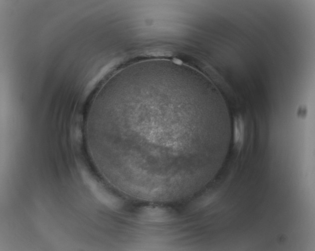 X0000114170300200910151643