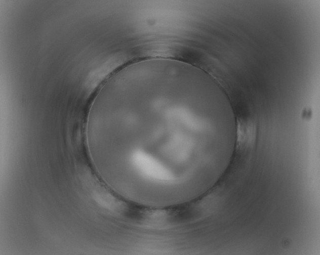 X0000114170301200910151643