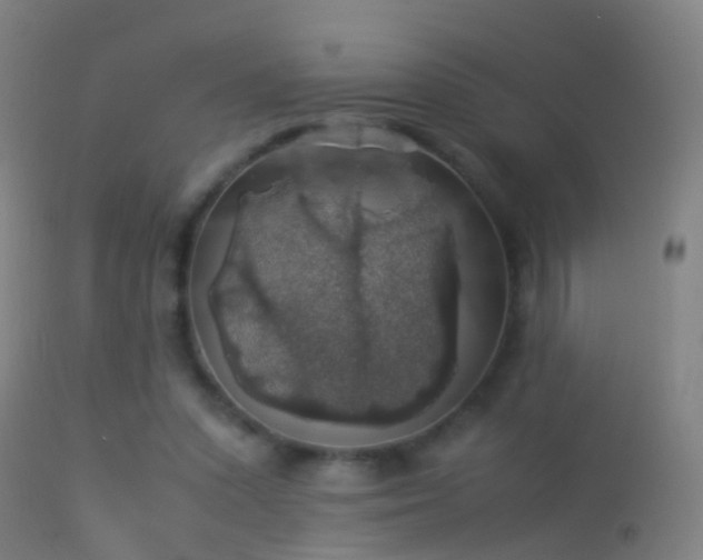 X0000114170303200910151643