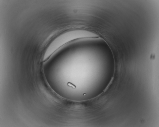 X0000114170304200910151643