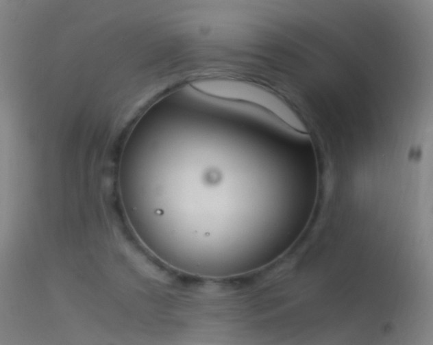 X0000114170305200910151643