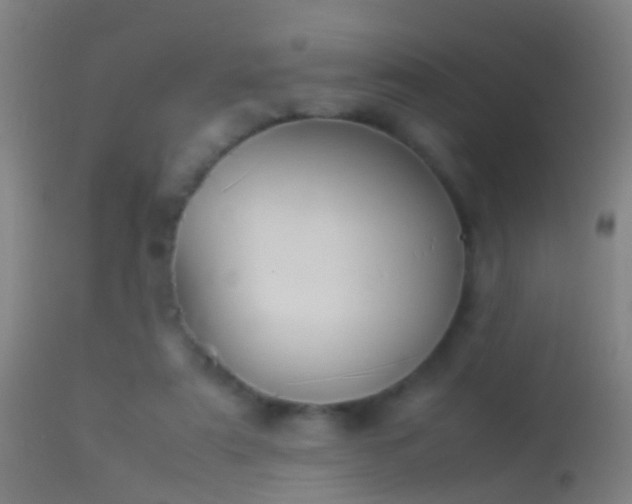 X0000114170307200910151643