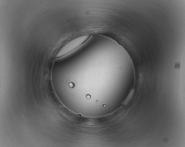 X0000114170308200910151643