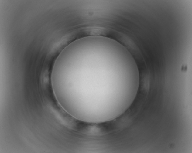 X0000114170310200910151643