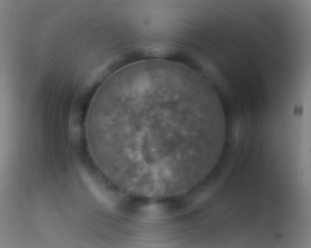 X0000114170312200910151643