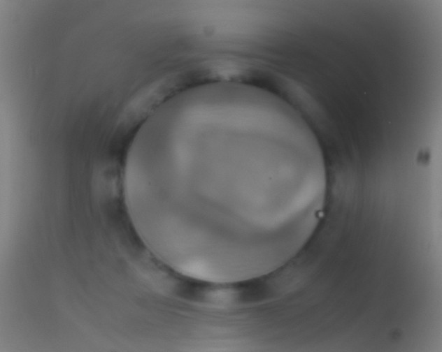 X0000114170313200910151643