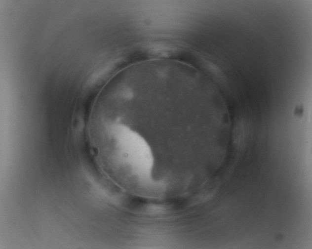 X0000114170314200910151643