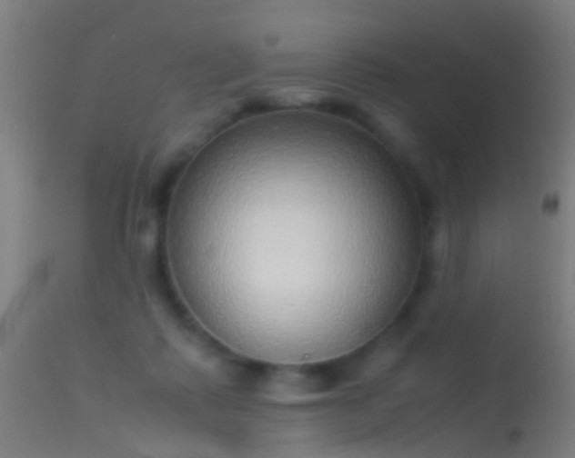 X0000114170315200910151643