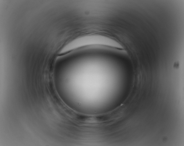 X0000114170316200910151643