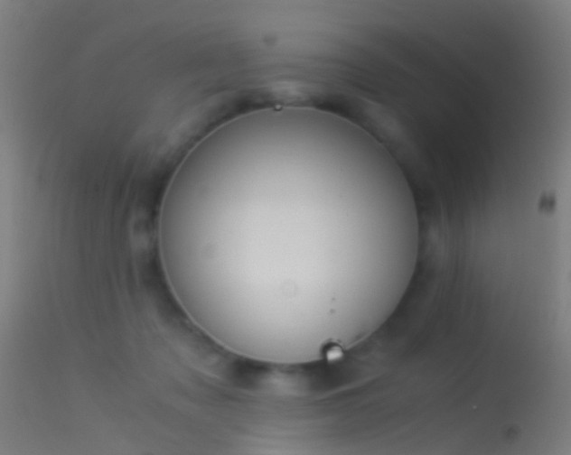 X0000114170317200910151643