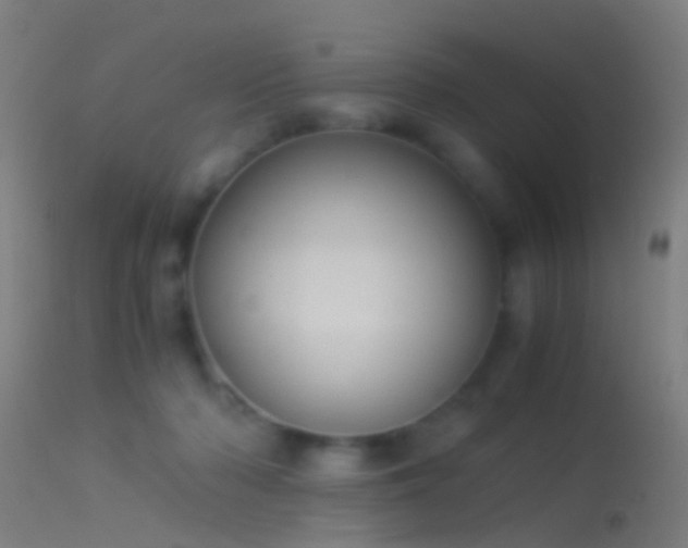 X0000114170318200910151643