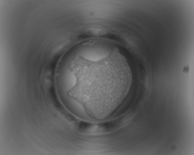 X0000114170319200910151643