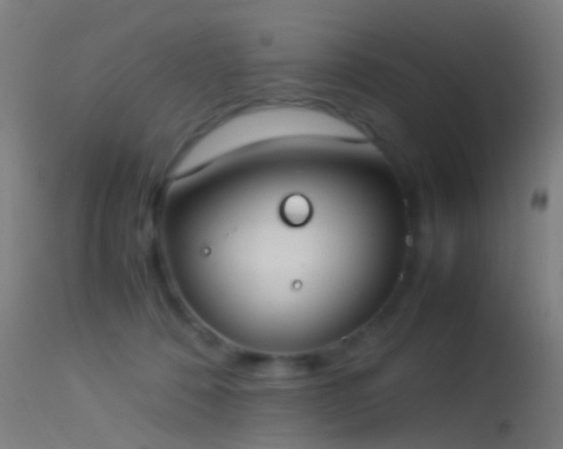 X0000114170320200910151643