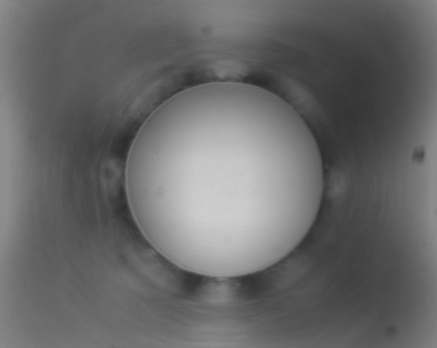 X0000114170321200910151643