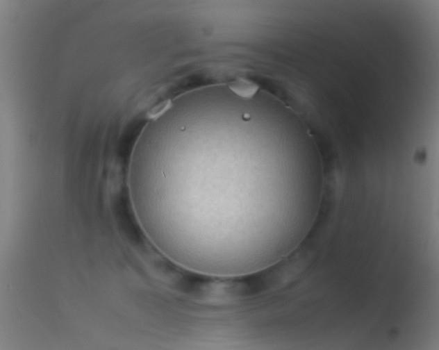 X0000114170323200910151643