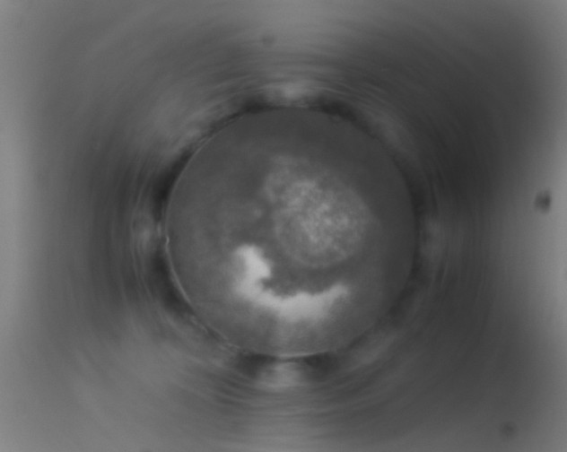 X0000114170324200910151643