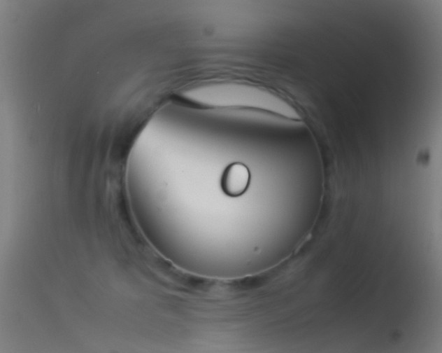 X0000114170325200910151643