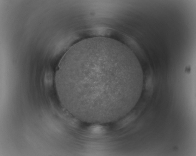 X0000114170326200910151643