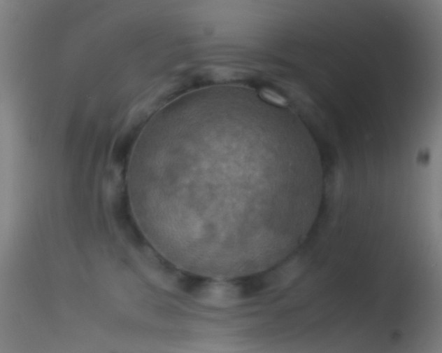 X0000114170327200910151643