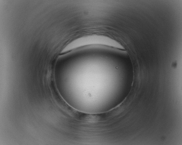 X0000114170328200910151642