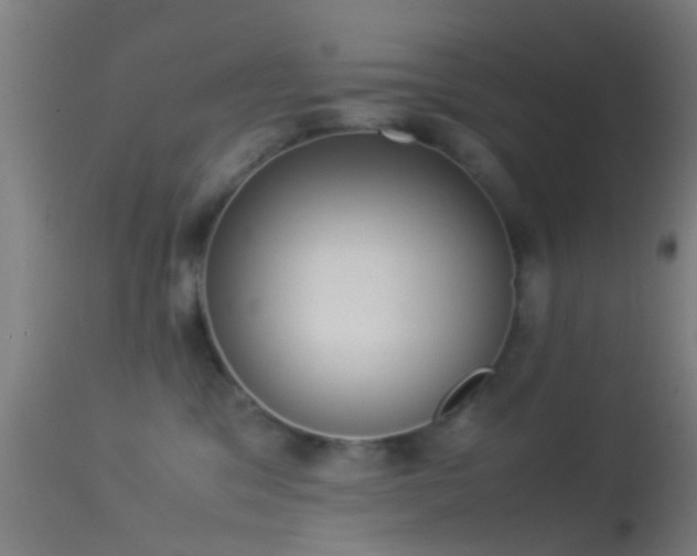 X0000114170329200910151642