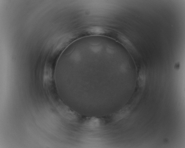 X0000114170330200910151642