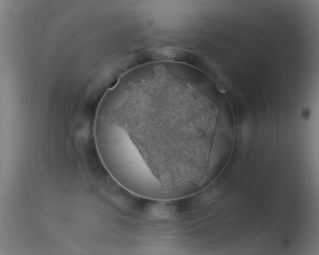 X0000114170331200910151642