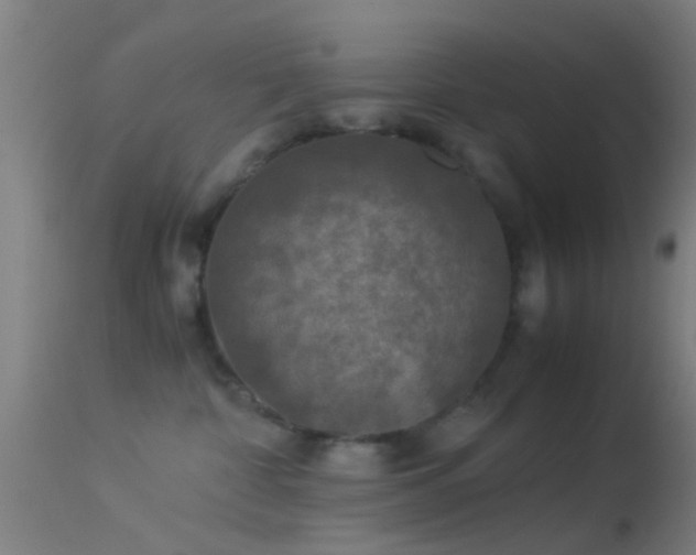 X0000114170332200910151642