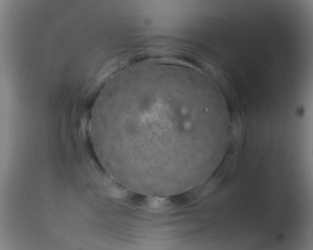 X0000114170333200910151642