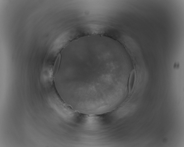 X0000114170336200910151642