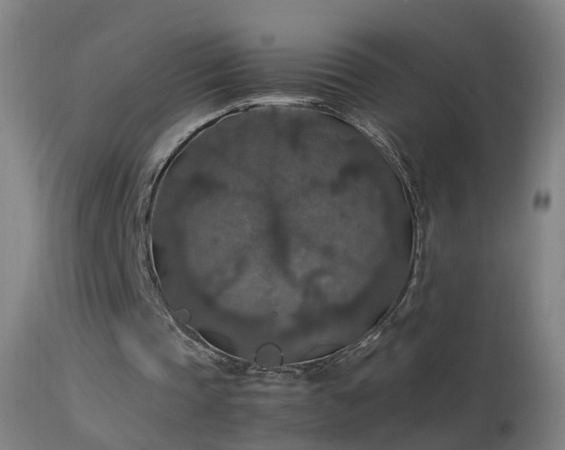 X0000114170337200910151642