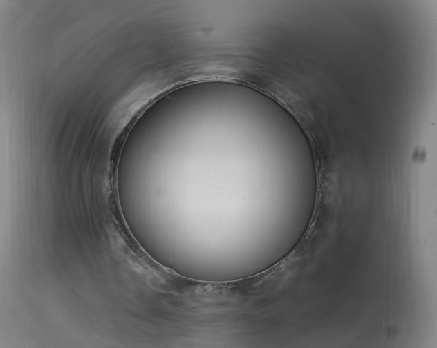 X0000114170338200910151642