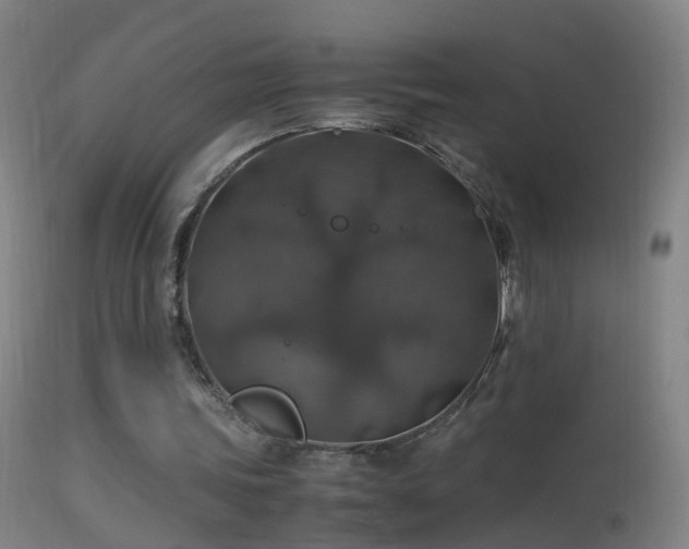 X0000114170339200910151642