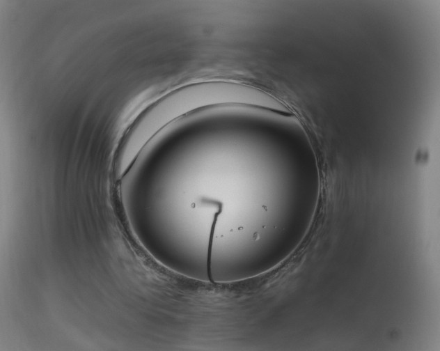 X0000114170340200910151642