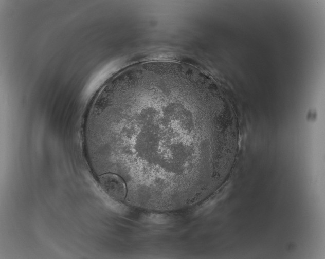 X0000114170341200910151642