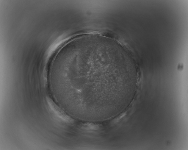 X0000114170343200910151642