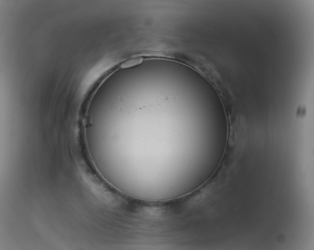 X0000114170344200910151642